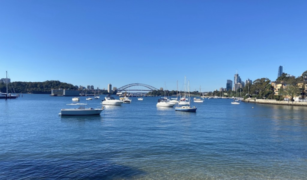 Snails Bay Fireworks