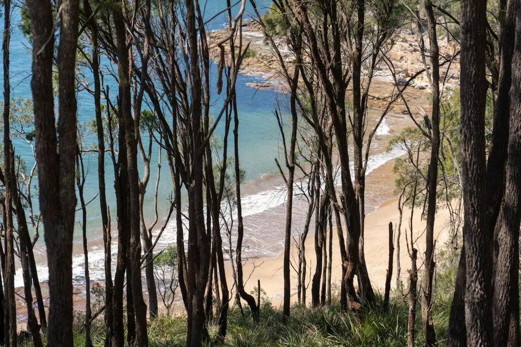 Where Can I Anchor On Pittwater Boat For Sale Sydney Davis Marine Brokerage 4