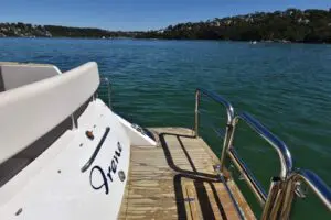 2005 Chris-Craft Roamer 40 for sale - photo 36