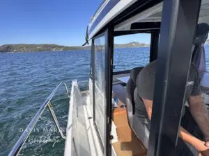 2020 Jeanneau Merry Fisher 895 side deck and rails