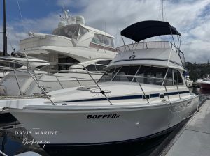1997 Caribbean 35 Flybridge 2