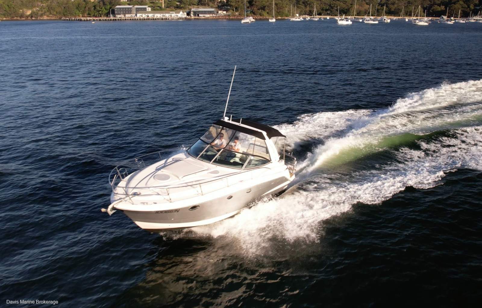 2007 Monterey 330 Sport Yacht underway at speed on Sydney Harbour, sold by Davis Marine Brokerage